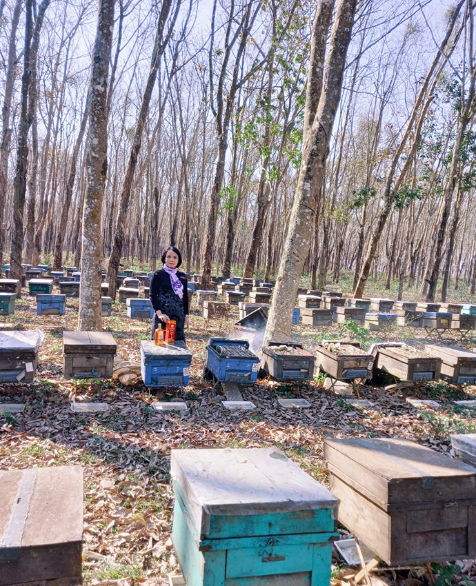 Trang trại nuôi ong của chúng tôi